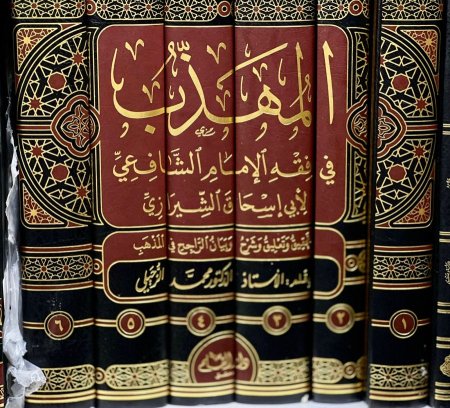 المهذب في فقه الشافعي6/1